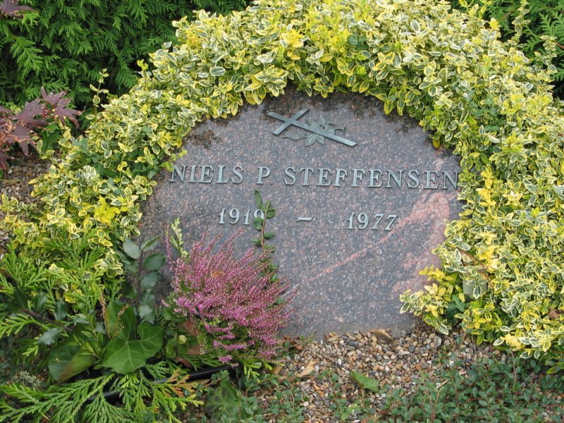 photo44.jpg