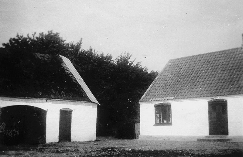 photo39.jpg