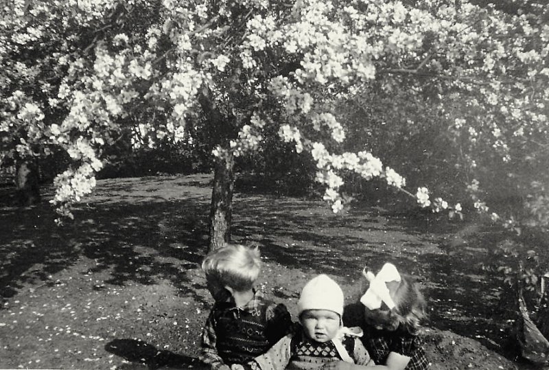 photo2.jpg