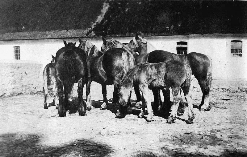 photo35.jpg