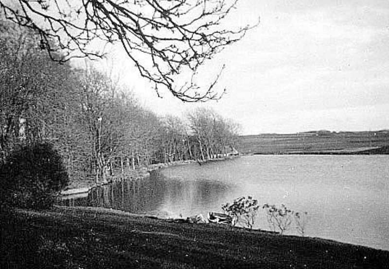 photo41.jpg