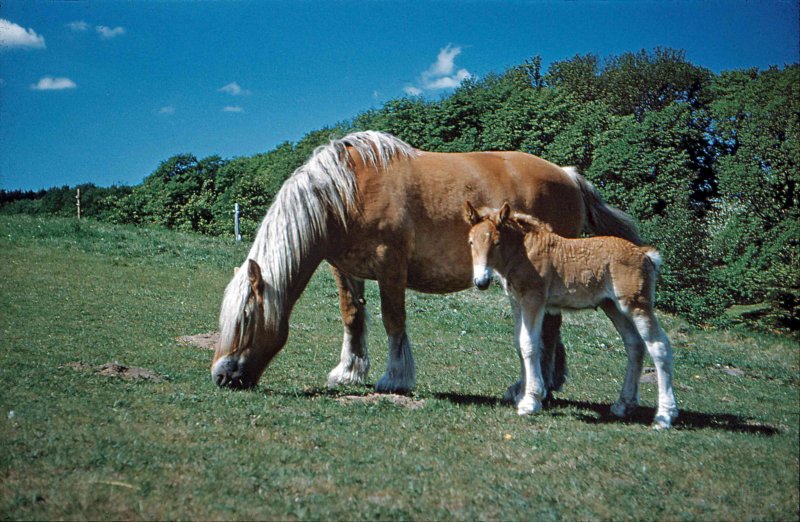 photo43.jpg