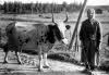 084 P581 Helena Mellanen Irja mormor Finland