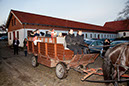 IMG_3265_1